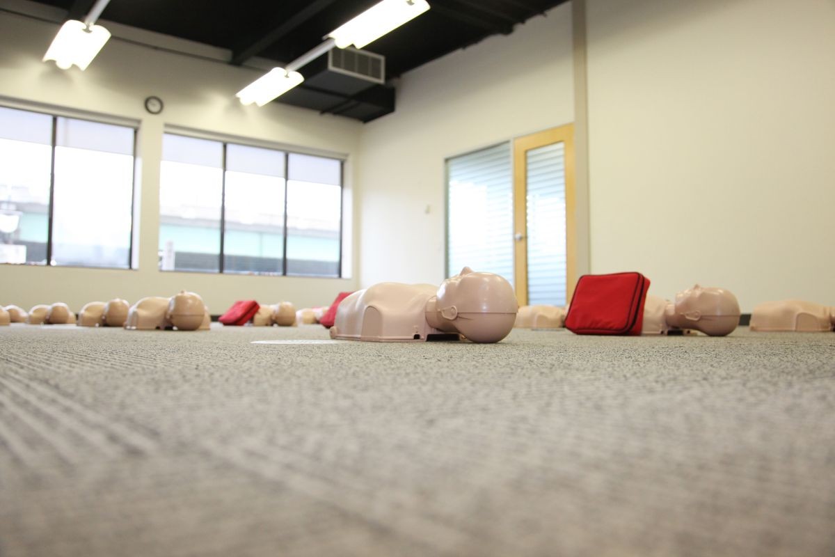 rows of CPR dolls for training in a medical training class